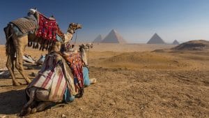 Egypt. Cairo - Giza. General view of pyramids