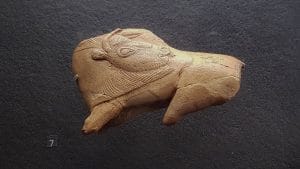 A bison carved out of reindeer antler depicted looking back over its shoulder and licking its flank.