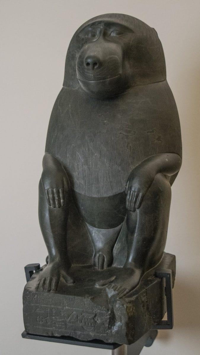 An ancient Egyptian carving of a baboon in very dark green basalt that is a representation of the deity Thoth.